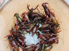 -同銮特种养殖场·龙虾垂钓