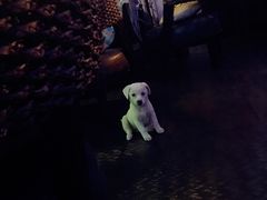 -小岛98(小岛酒吧)