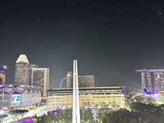 -新加坡瑞士史丹福酒店