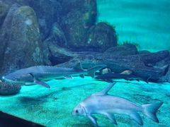 -常州海昌海洋探索馆