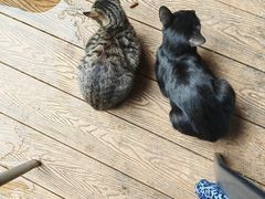 -品德宏·孔雀宴的发源地(金塔园店)