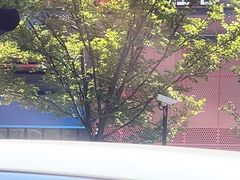 -必胜客(上海华谊新所店)