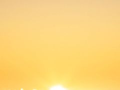 -傣妹火锅(丰庄路店)