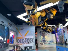 -中国宋庆龄青少年科技文化交流中心