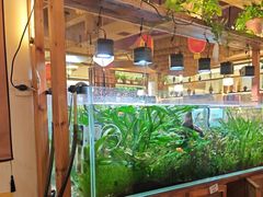 -六福烧烤酒馆(秦隆步行街店)