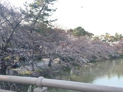 -名古屋城