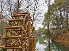 -张鸟园农家乐(张鸟园店)
