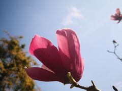 -晓港公园