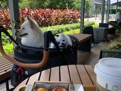 -星巴克(珠海仁恒滨海中心店)