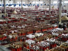 -昆明国际花卉拍卖交易中心