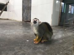 -西安秦岭野生动物园