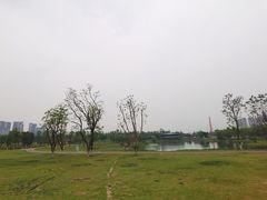 -桂溪生态公园