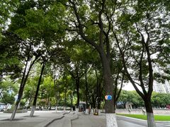 -西北湖绿化广场
