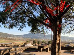 -杨大爹稀豆粉私房菜