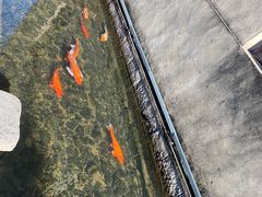 -前童古镇