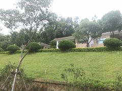 -厦门国家会计学院