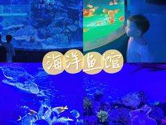 -左海海底世界