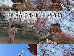 -杭州半山国家森林公园