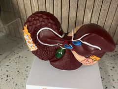 -半岛宠物医院24小时(白果林店)