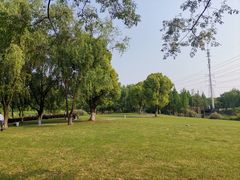 -九里河湿地公园
