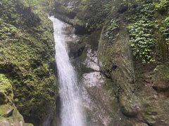 -青城山