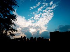 -星光岛