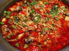 东坡杂鱼-樽宴酒楼·地道川菜·品质宴请