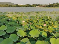-云龙湖旅游景区