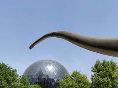 -陕西自然博物馆