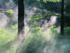 -国家植物园南园