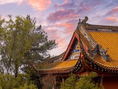 -铁山坪森林公园