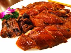 -国家五钻酒家·西樵旺阁渔村(西樵店)