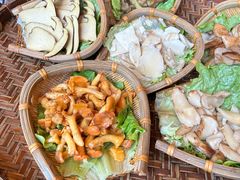 -滇野云南野生菌餐厅(陕西南路店)