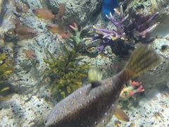 -福州罗源湾海洋世界旅游区