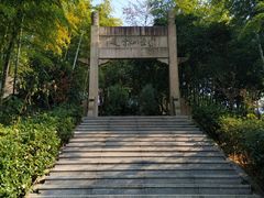-紫金山山顶公园