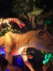 -恐龙探索乐园(磁器口店)