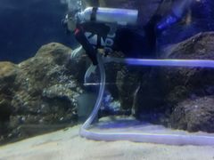 -大连圣亚海洋世界