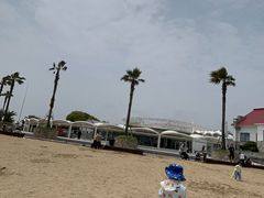 -碧海金沙
