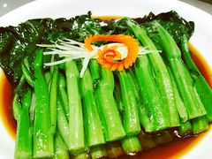 -楚灶王(徐东店)