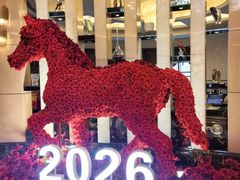 -上海浦东星河湾酒店