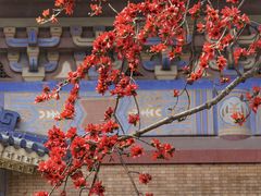 -广州中山纪念堂
