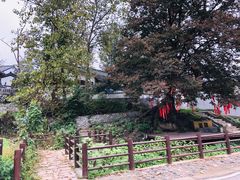 -石塘人家