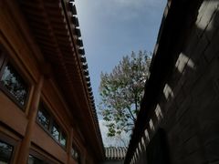 -大顺堂食府(牛街店)