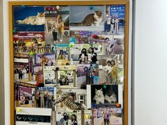 -青奢宠物·青奢猫舍