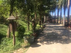 -揭东万竹园旅游景区