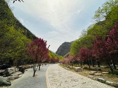 -十渡东湖港风景区