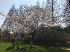 -复旦大学光华楼