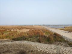 -南汇嘴观海公园