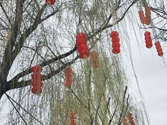 -承德避暑山庄景区