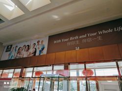 -五洲妇儿医院